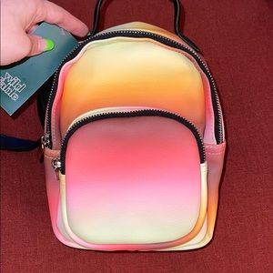 Ombré Wild Fable bag